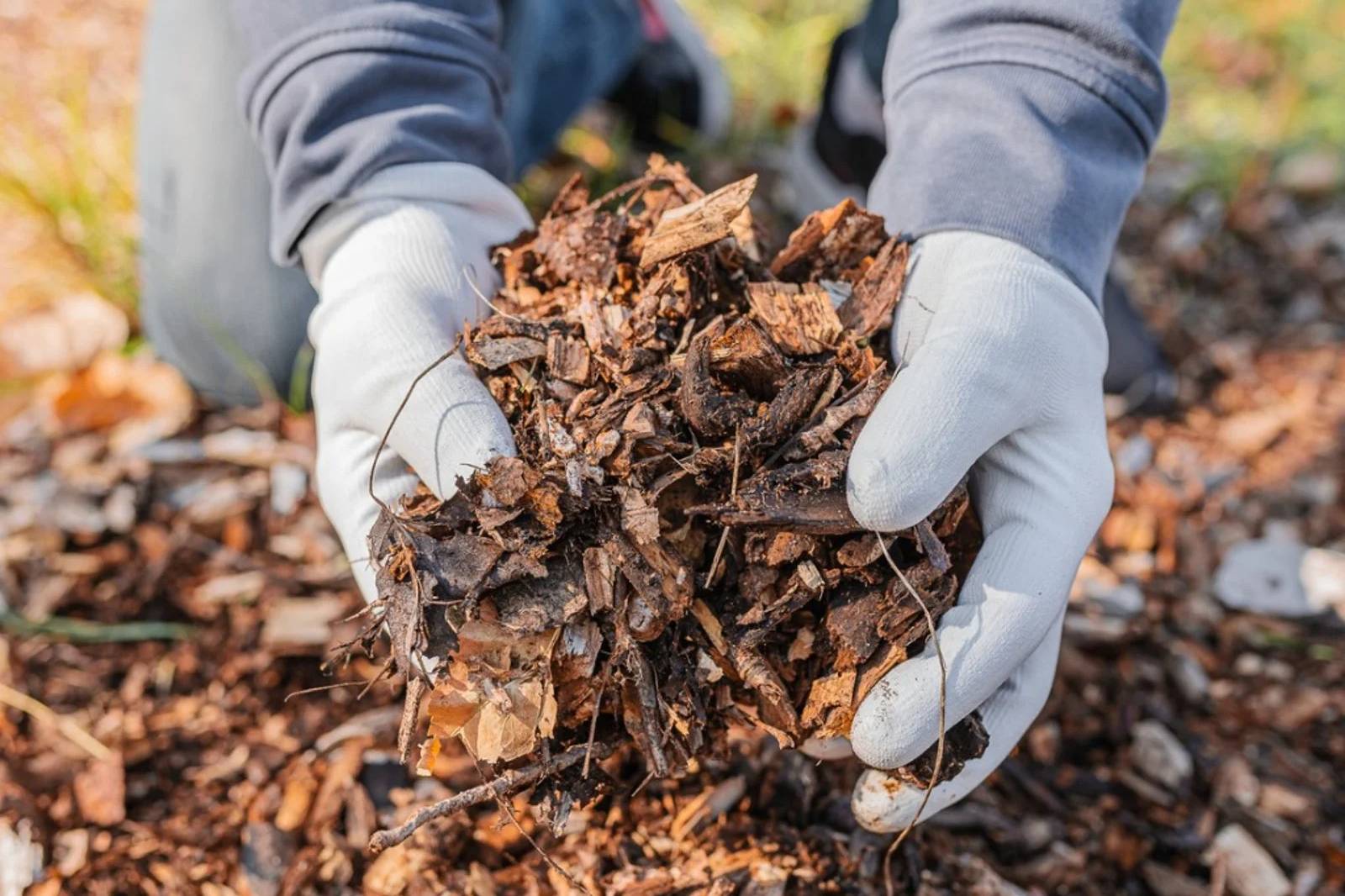 sustainable mulch