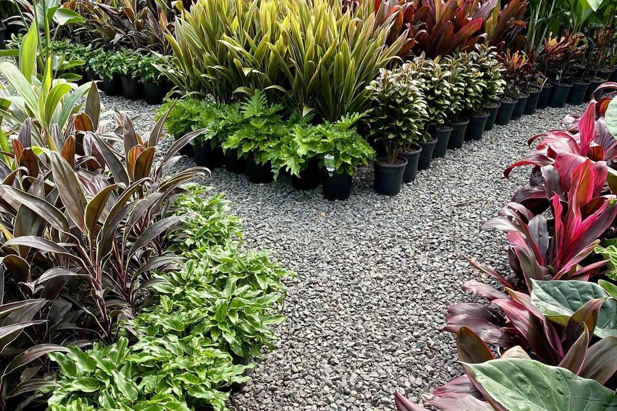 How do I Prepare My Yard for Landscaping in Perth?